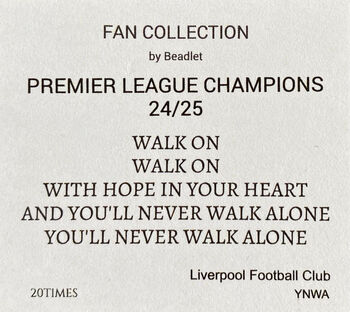 Liverpool Lfc Earrings Football Fan Gift For Her Gold Plated 925, 4 of 5