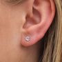 Sterling Silver Paw Print Stud Earrings, thumbnail 2 of 10