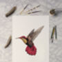 Ruby Topaz Hummingbird Giclée Art Print, thumbnail 3 of 4