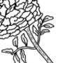 Bespoke Personalised Birth Flower For 1st Birthday, thumbnail 9 of 11