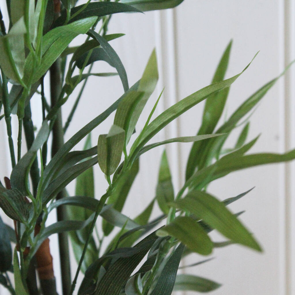 Large Artificial Bamboo Plants Two Sizes By Lime Tree London