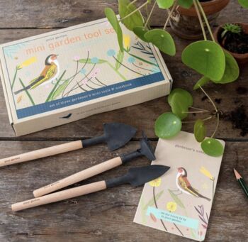 Pack Of Flower Seeds, 2 of 4