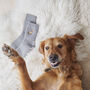 Golden Retriever Dog Walking Socks, thumbnail 10 of 10