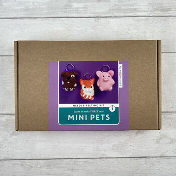 Needle Felting Kit, Mini Pets. Cat, Pig And Dog, 5 of 12