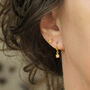 Aurora Borealis Crystal Drop Charm Earrings, thumbnail 1 of 8