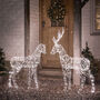 Duchy Stag And Doe Dual Colour Micro LED Reindeer, thumbnail 2 of 4