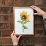 Hand Painted Watercolour Sunflower Print, thumbnail 4 of 8