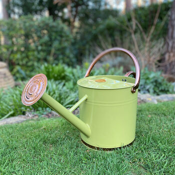 Lemon And Lime Green And Copper Trim Watering Can Duo, 2 of 9