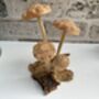 Hand Carved Shitake Wood Mushrooms On Driftwood Base, thumbnail 4 of 11