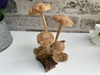 Hand Carved Shitake Wood Mushrooms On Driftwood Base, 4 of 11