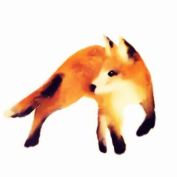 Fox Cub Print, 2 of 2