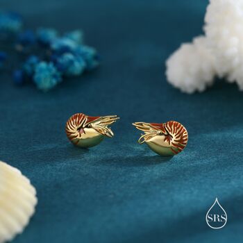 Nautilus Shell Stud Earrings In Sterling Silver, 4 of 12