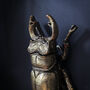 Gold Beetle Wall Ornaments, thumbnail 8 of 10