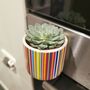 Magnetic Ceramic Planter And Choice Of Plant Gift, thumbnail 4 of 5