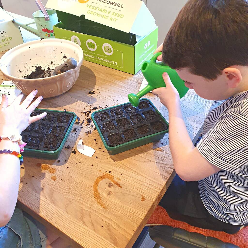 Windowsill Vegetable Growing Kits By Goody Foody Gardens