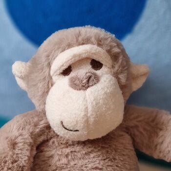 100% Recycled Soft Toy Monkey, 2 of 2
