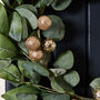 Luxury Natural Christmas Wreath, thumbnail 3 of 6