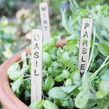 Set Of Seven Personalised Wooden Herb Garden Markers, 3 of 4