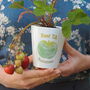 Personalised Teaching Assistant Plant Pot Gift, thumbnail 1 of 3