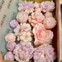 Handmade Box Of Flower Garden Soy Wax Melts, thumbnail 1 of 12