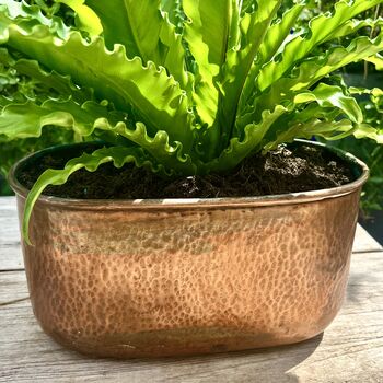 A Rectangular Indoor Planter With A Vintage Copper Finish, 2 of 6