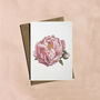 Pink Peony Hand Painted Floral Card, thumbnail 1 of 2