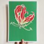 Flame Lily Print On Green, thumbnail 4 of 6