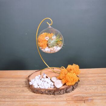 Diy Air Plant Terrarium Kit Hanging Terrarium Gift Orange Moss With Optional Gold Stand, 4 of 6