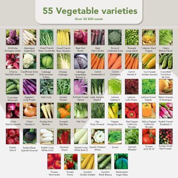 Grow Your Own Gardening Kit With 75 Seed Varieties By Garden Pack