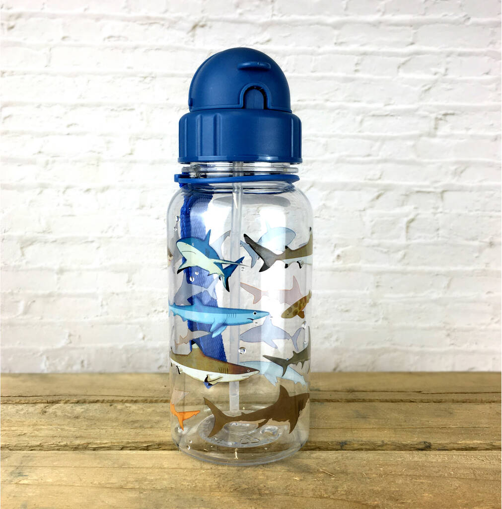 Children's Shark Design Water Bottle 500ml, 1 of 12