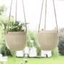 Pack Of Two Ceramic Hanging Pots With Jute Rope, thumbnail 1 of 12