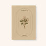 Personalised Birth Flower Notebook, thumbnail 4 of 11