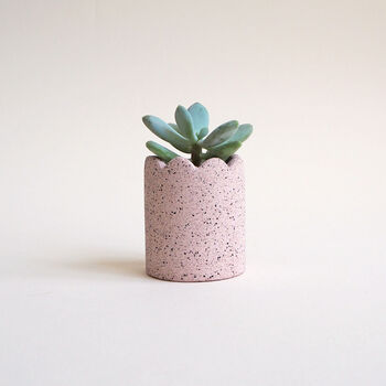 Mini Scalloped Pot, 3 of 11