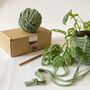 Digital Crochet Plant Pot Workshop And Craft Kit, thumbnail 1 of 11