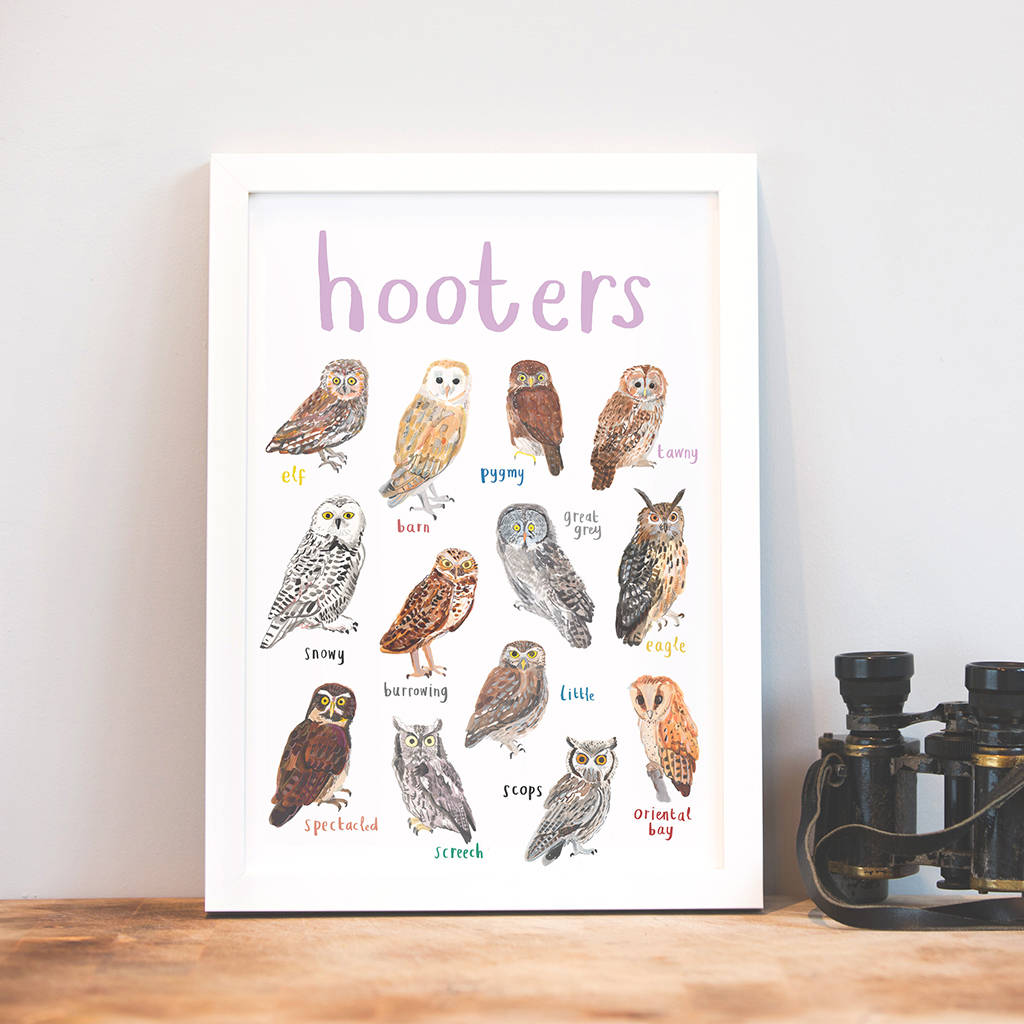 'Hooters' Illustrated Bird Art Print, 1 of 3