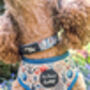 Shipwrecked Nautical Dog Harness, thumbnail 9 of 11