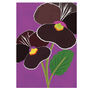 Neon Violet Pansy Illustrated Greeting Card, Sustainable, Printed In England, Floral, Deep Purple, Textured Card, All Occasion For Garden Lover, thumbnail 2 of 2