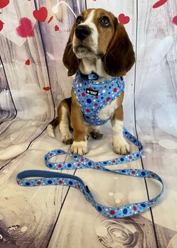 Blue Polka Dot Dog Harness Set, 7 of 7