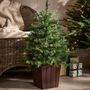 Brookleigh Three Foot Pre Lit Tree, thumbnail 1 of 3