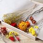 Wildflower Autumnal Cut Dried Flowers Letterbox Gift, thumbnail 3 of 10