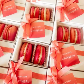 Gourmet Macaron Favours Pack Of 10, 6 of 9