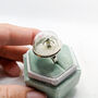 Tiny Terrarium Penguin Dome Ring, thumbnail 3 of 5
