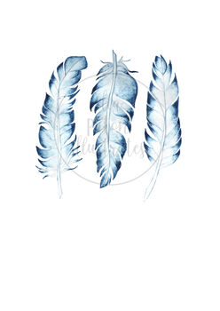 Watercolour Feathers Art Print, 5 of 5