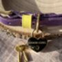 Engraved Pet Name Heart Padlock Dog Tag, thumbnail 1 of 8