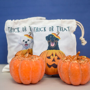 Spooky Trick Or Treat Halloween Dog Treat Bag, 11 of 12