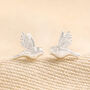Delicate Bird Stud Earrings, thumbnail 1 of 7