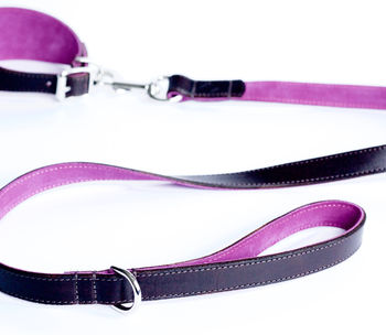 Leather And Suede Dog Lead, 5 of 5