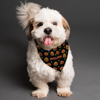 Personalised Pumpkin Patch Halloween Dog Bandana, 2 of 5