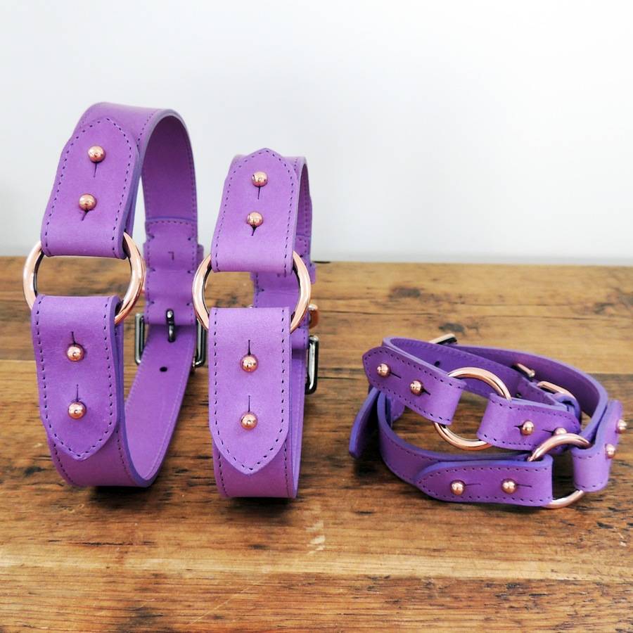 blueberry portobello dog collar by throw & phetch