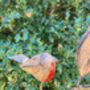 128cm Robin Wind Spinner Metal Garden Statue Memorial Gift, thumbnail 8 of 8